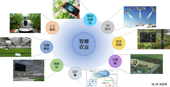 农业B2B电商发展现状