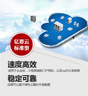 亿恩云服务器标准版,适合中小企业使用