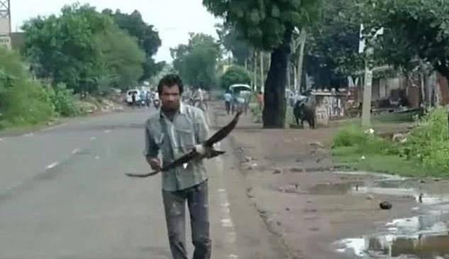 男子遭乌鸦追3年  当地人看他被攻击当做日常娱乐