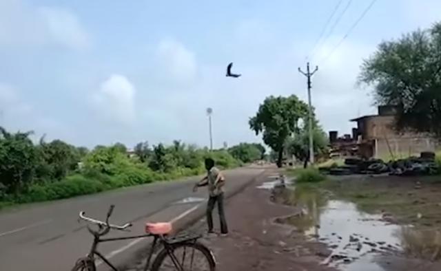 男子遭乌鸦追3年  当地人看他被攻击当做日常娱乐