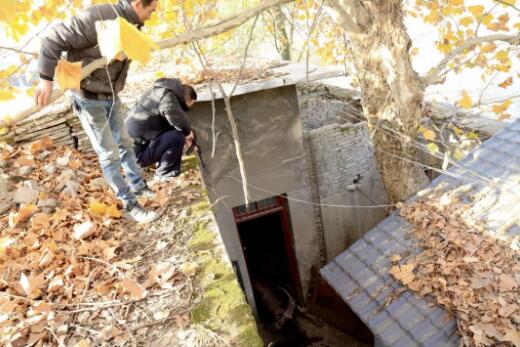 上饶疯公牛伤人 民警用微型冲锋枪击毙千斤大牛