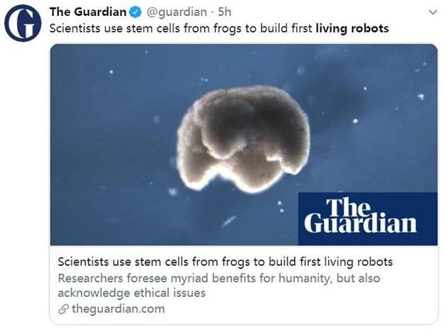 首个活体机器人 一种活的可编程生物
