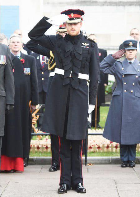 哈里放弃王室头衔 同时要放弃司令头衔还要退钱